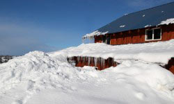 Etiam dictum egestas